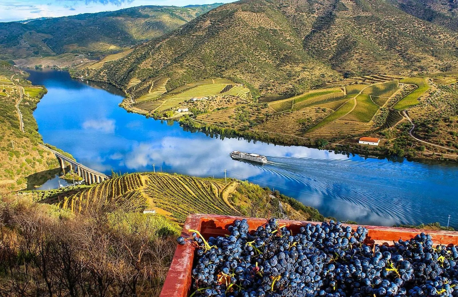 Douro Valley
